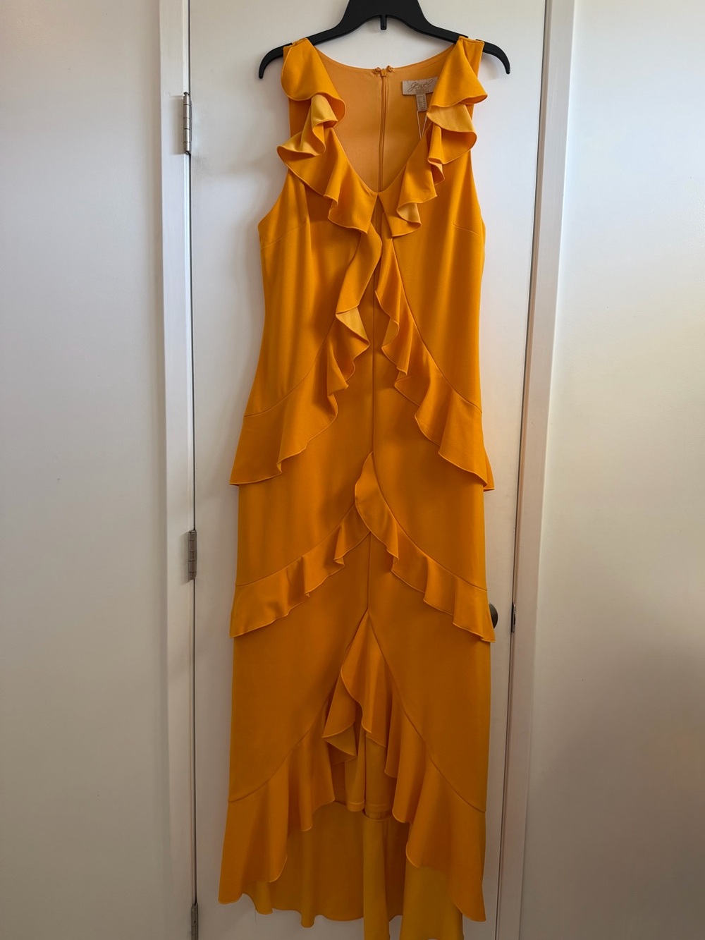 Badgley Mischka Ruffle Detail Sleeveless Maxi Dress in Marigold